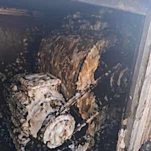 WhatsApp Image 2025-03-12 at 13.49.27 (1)